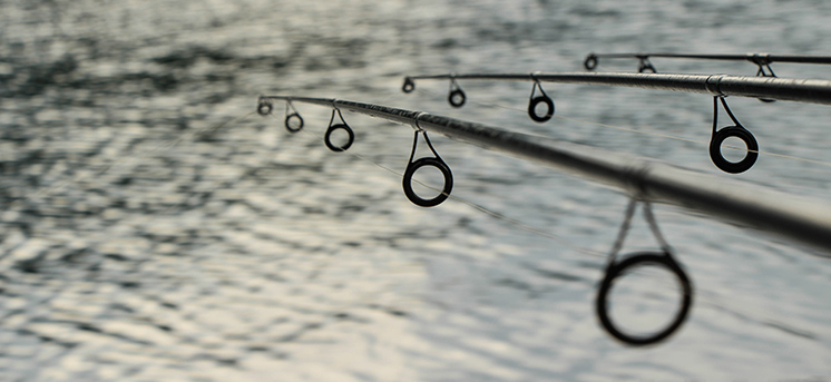 canna carpfishing