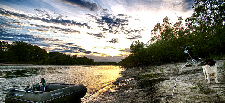 stagioni carpfishing