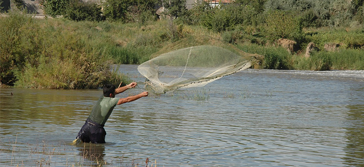 clima carpfishing