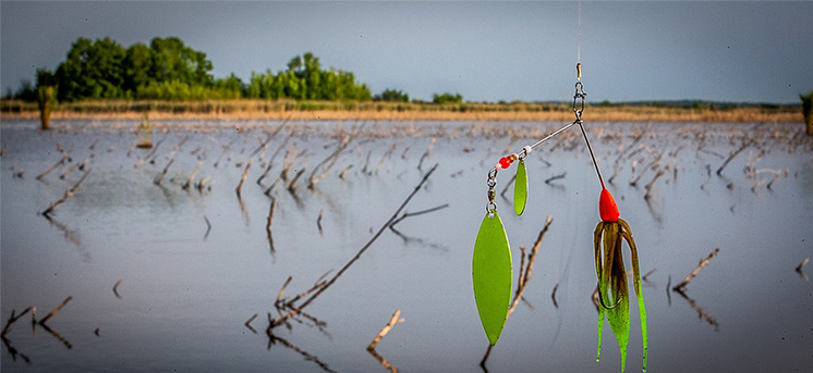 Pasturazione Carpfishing